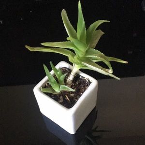 Meet your Posher, Andre